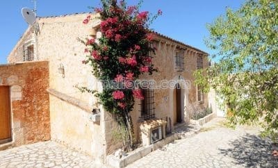 Finca Mascaro