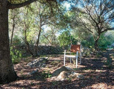 Finca Biel